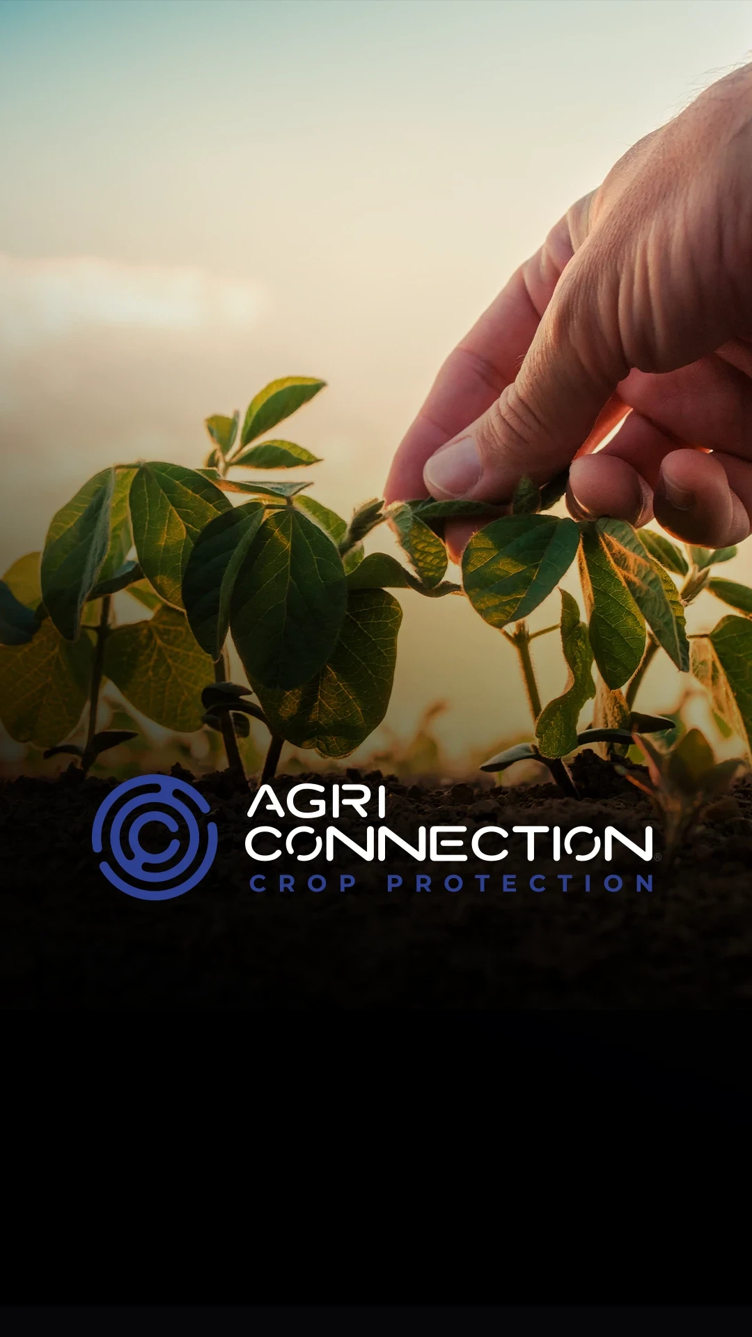 card AGRICONNECTION CROP PROTECTION uai