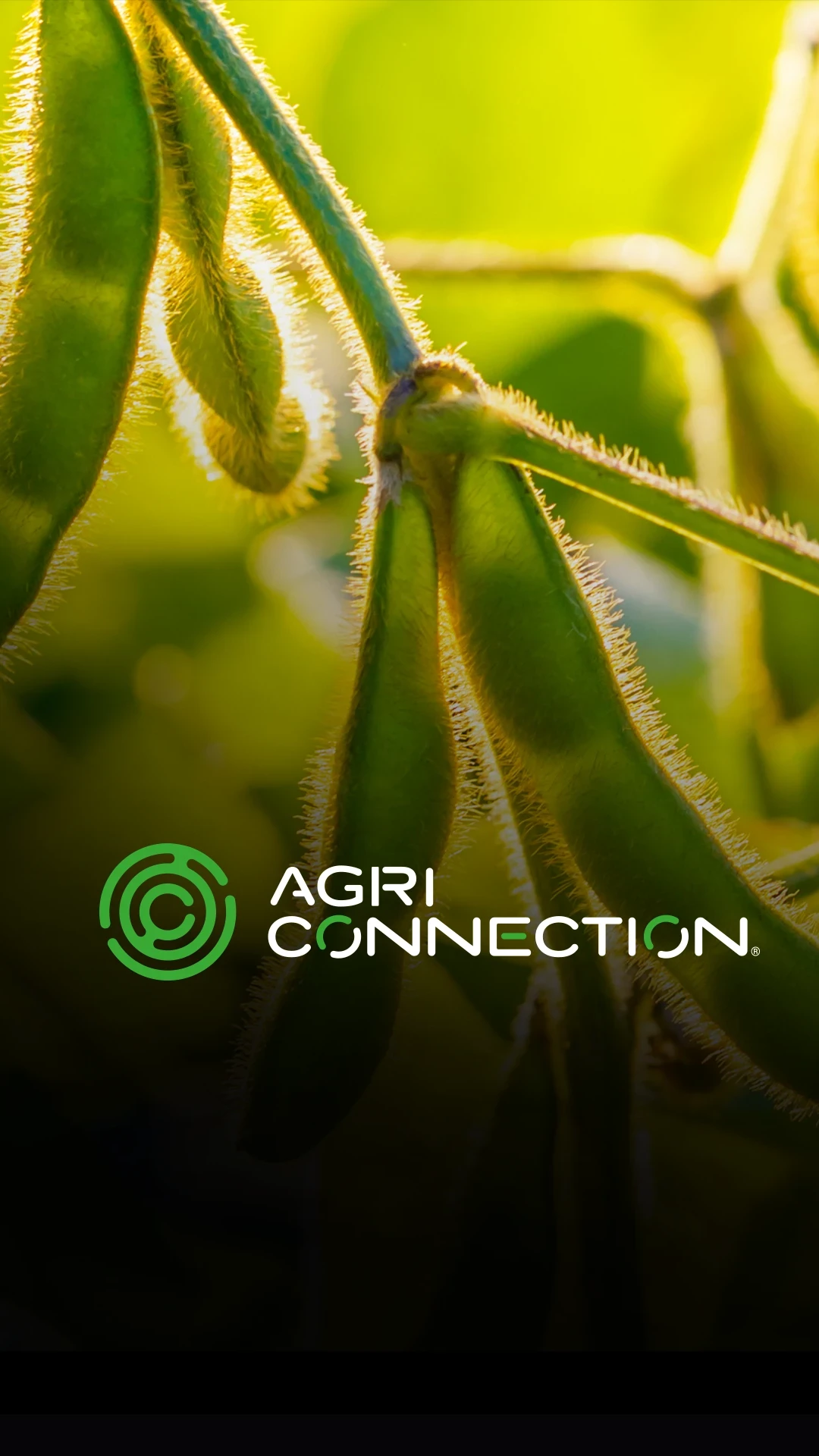 card AGRICONNECTION ESSENTIALS 1 uai