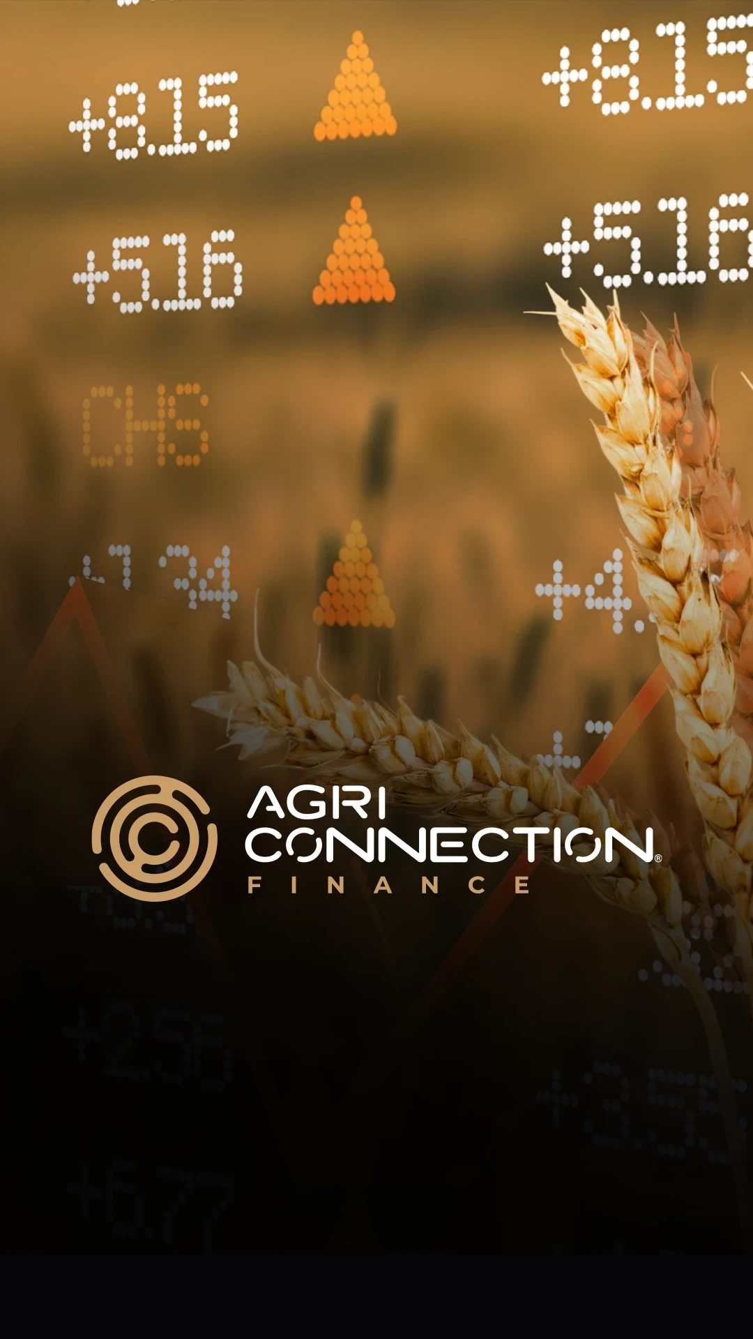 card AGRICONNECTION FINANCE 1 uai