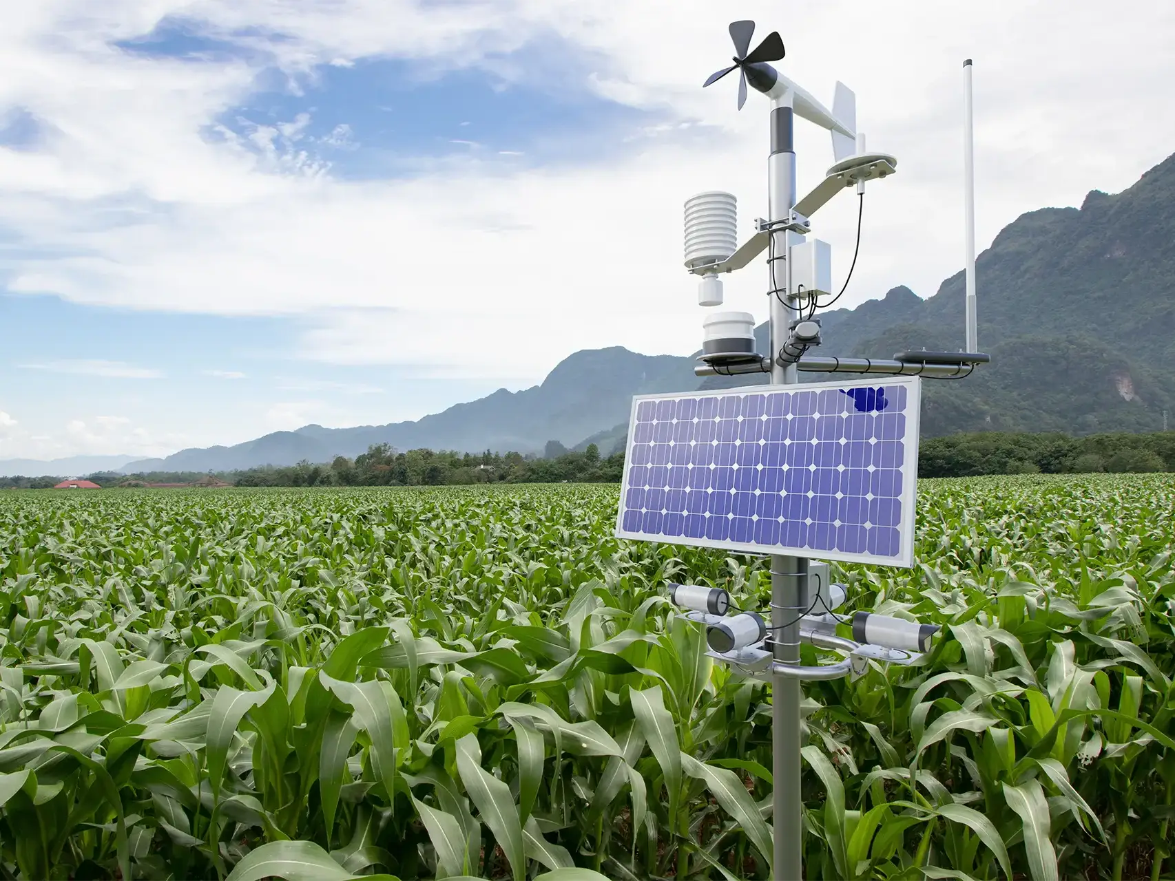 Tendências climáticas