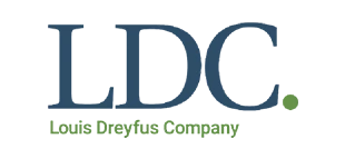 logo ldc