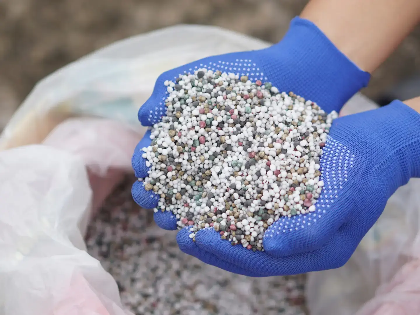 Duas mãos com luvas azuis, segurando fertilizantes retirados de um bag
