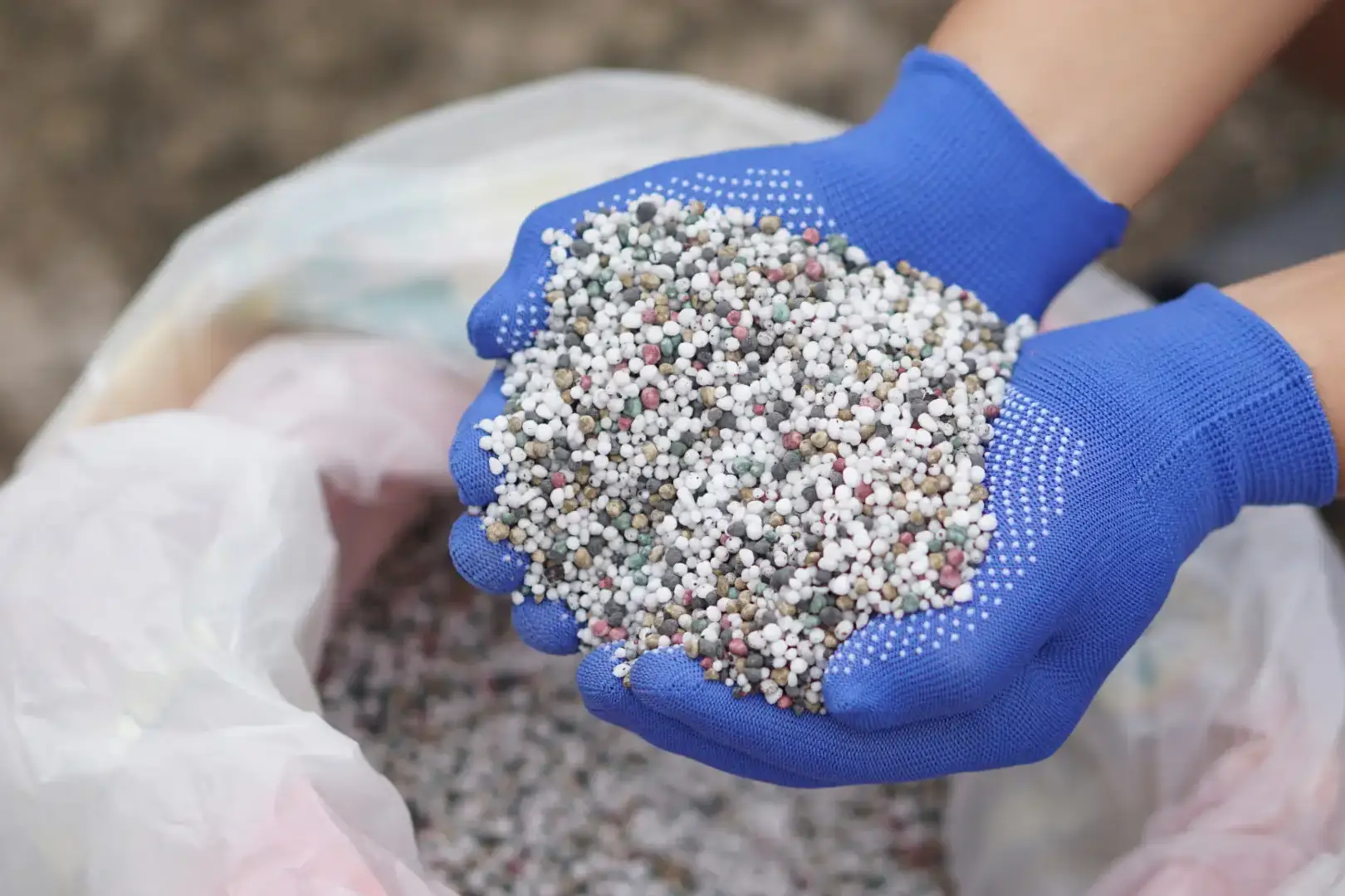 Duas mãos com luvas azuis, segurando fertilizantes retirados de um bag
