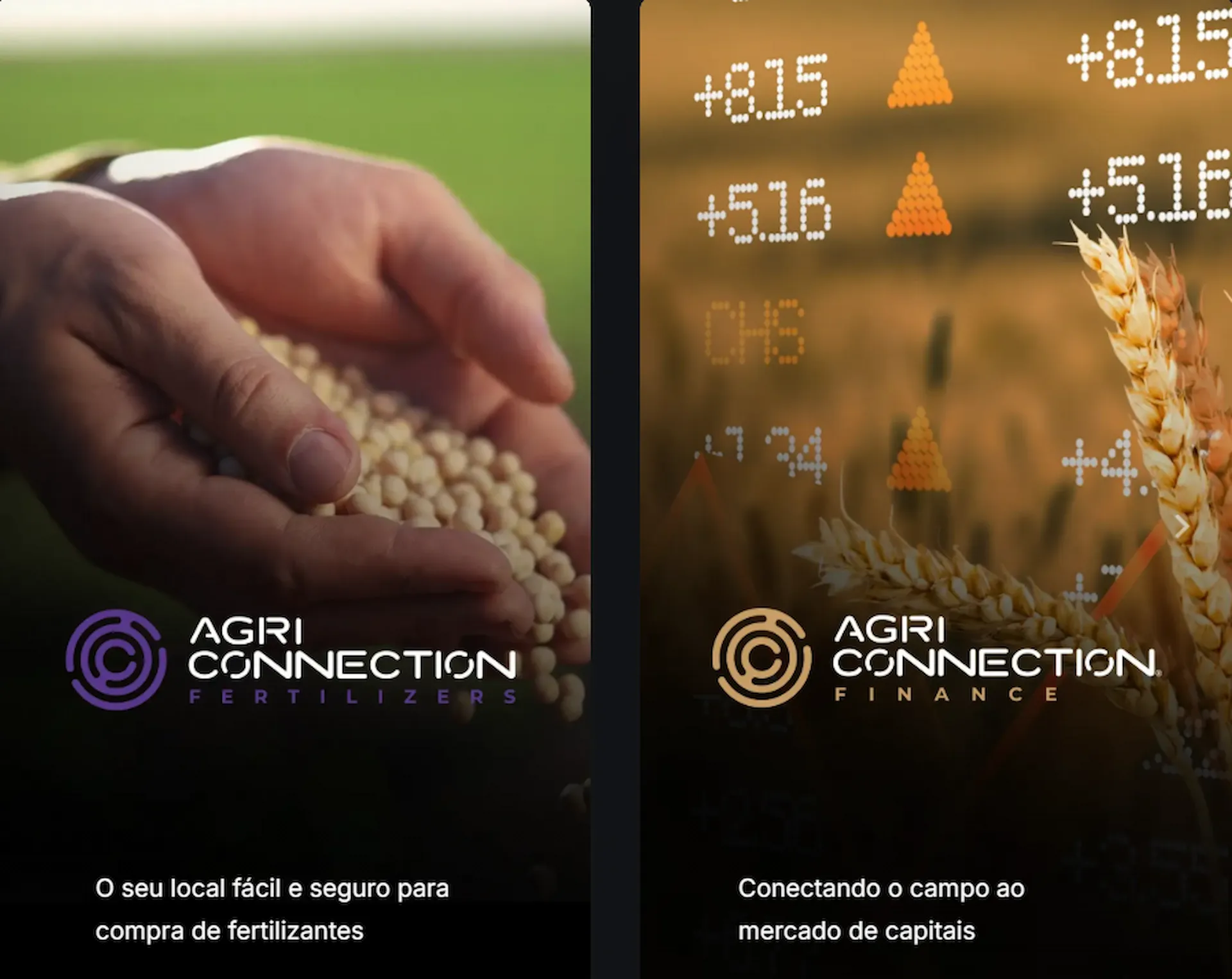Duas linhas do portfólio da AgriConnection. À esquerda, "AgriConnection Fertilizers" com logo roxo e o slogan "O seu local fácil e seguro para compra de fertilizantes". À direita, "AgriConnection Finance" com logo dourado e o slogan "Conectando o campo ao mercado de capitais".