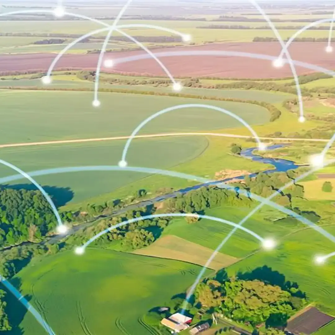 Conheca a AgriConnection e seu impacto no agronegocio nacional e internacional uai