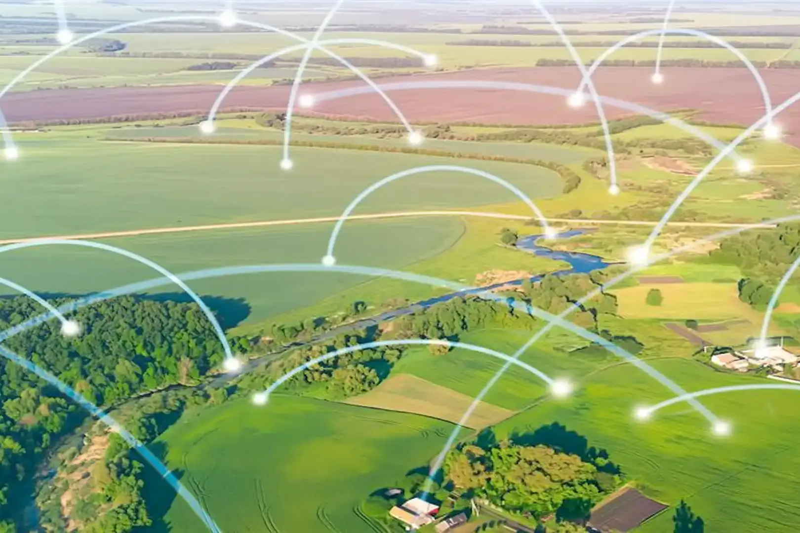 Conheca a AgriConnection e seu impacto no agronegocio nacional e internacional uai