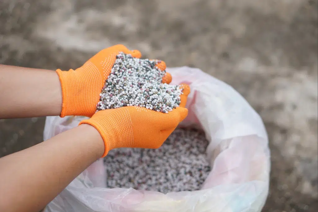 Mãos com luvas laranjas tirando fertilizante de dentro de sacaria