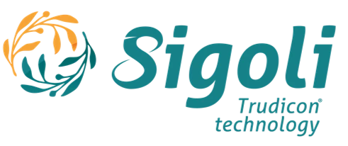 logo colorido sigoli