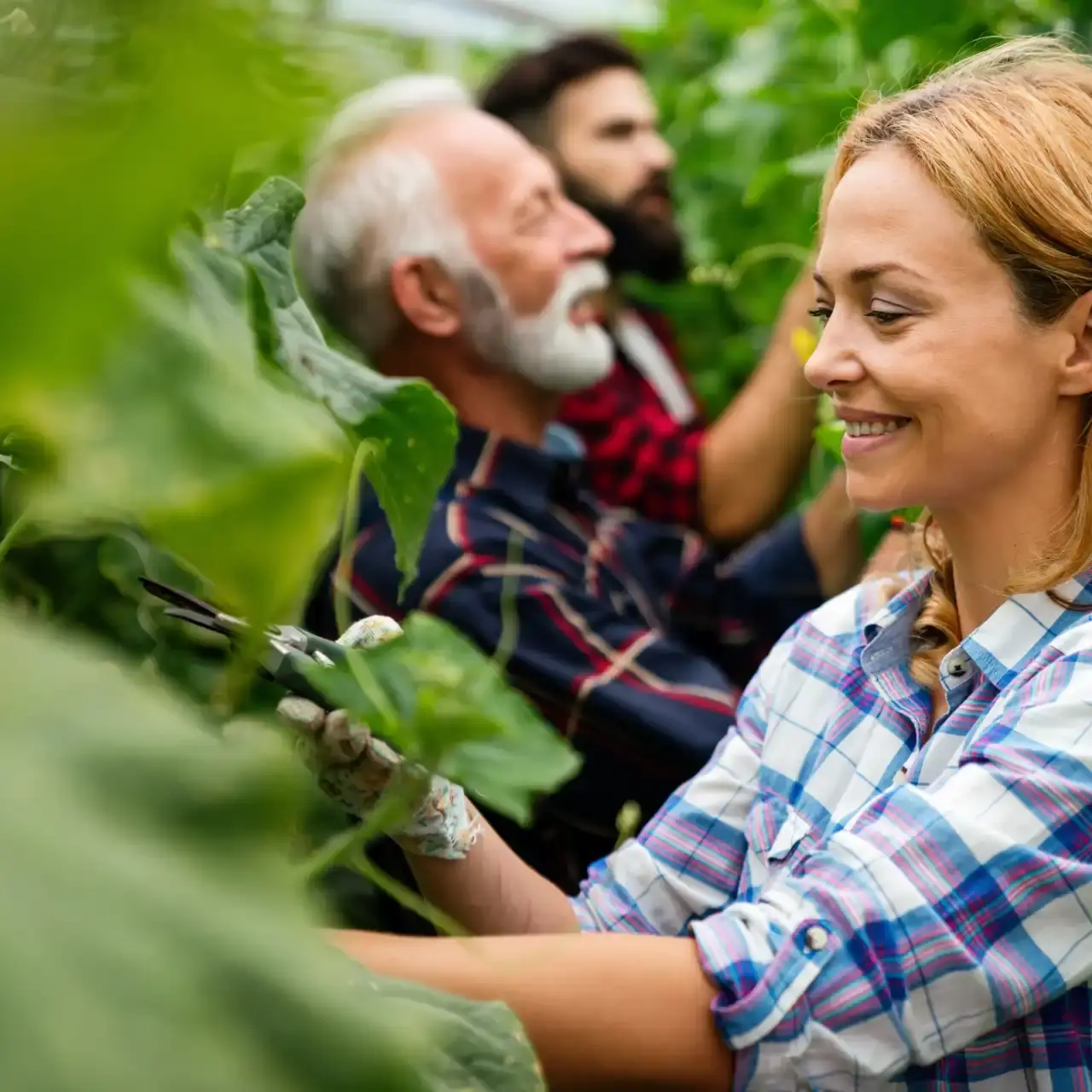 Close-up de uma mulher sorrindo, trabalhando em uma plantação em estufa. Atrás dela, um homem mais velho e outro mais jovem, simbolizando a colaboração e sucessão da agricultura familiar.