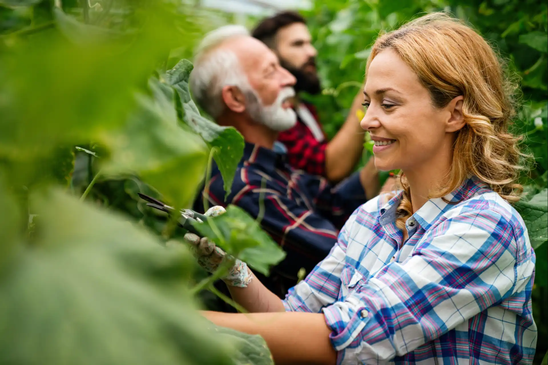Close-up de uma mulher sorrindo, trabalhando em uma plantação em estufa. Atrás dela, um homem mais velho e outro mais jovem, simbolizando a colaboração e sucessão da agricultura familiar.
