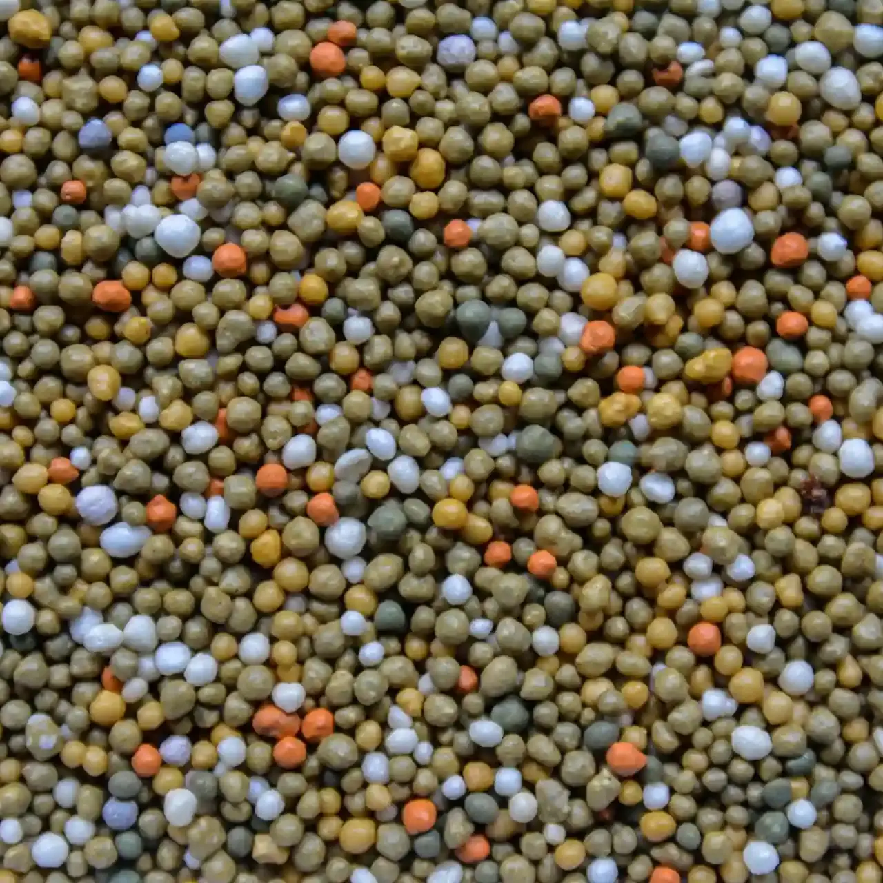 Variedade vibrante de fertilizantes dispostos em recipiente.