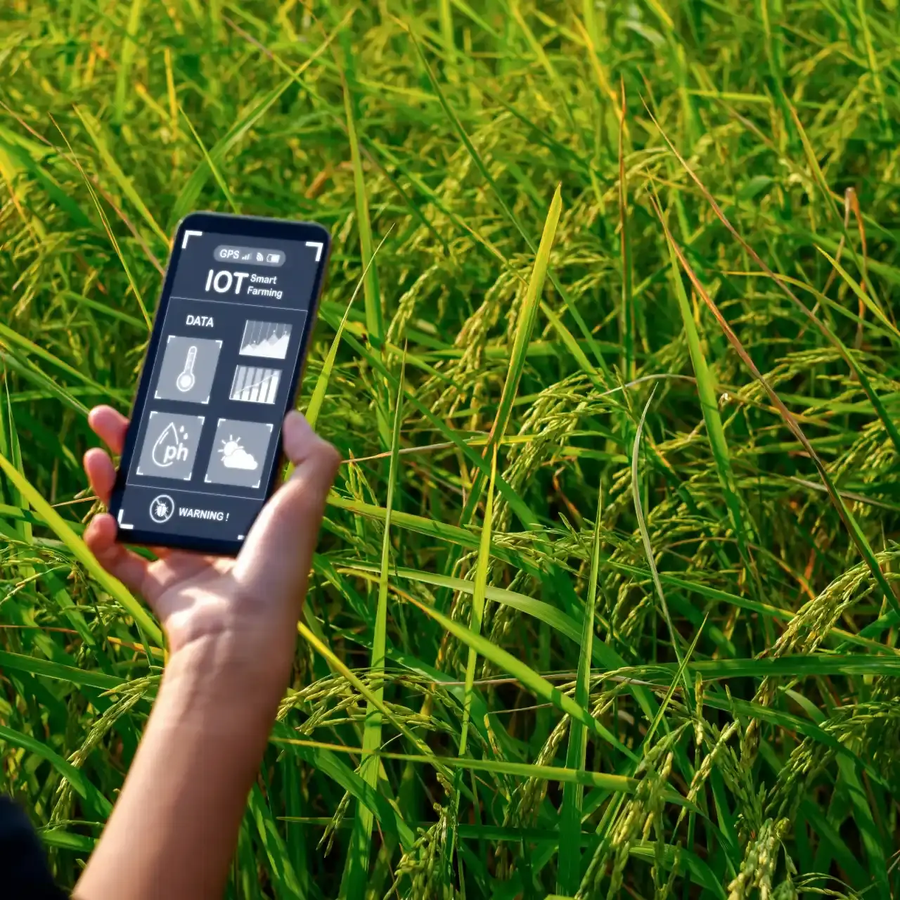 Como usar os dados na agricultura de precisao uai