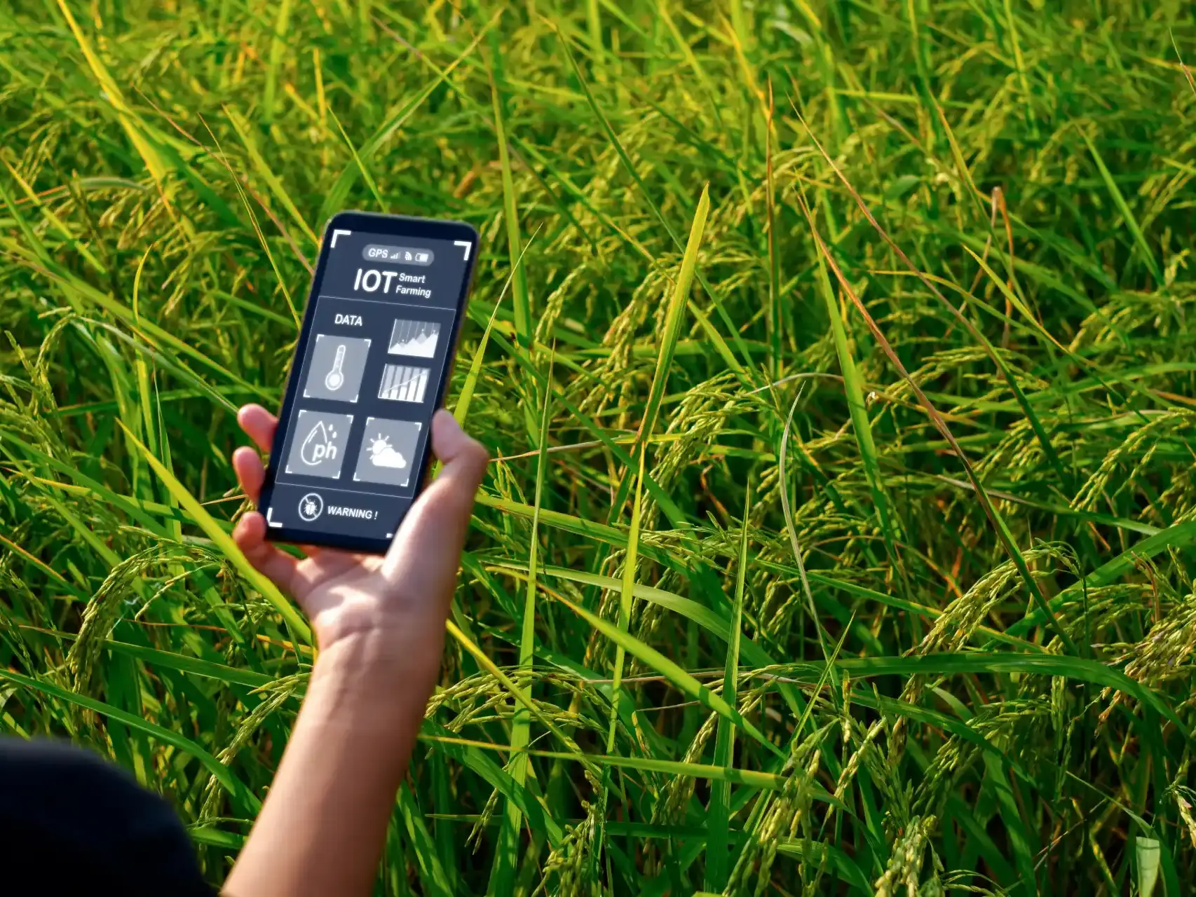 Como usar os dados na agricultura de precisao uai
