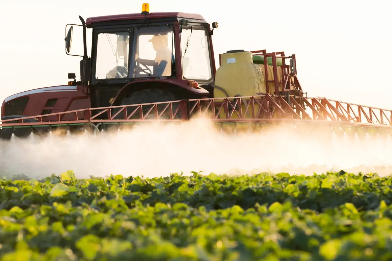 Trator fazendo uma pulverização agrícola na lavoura.